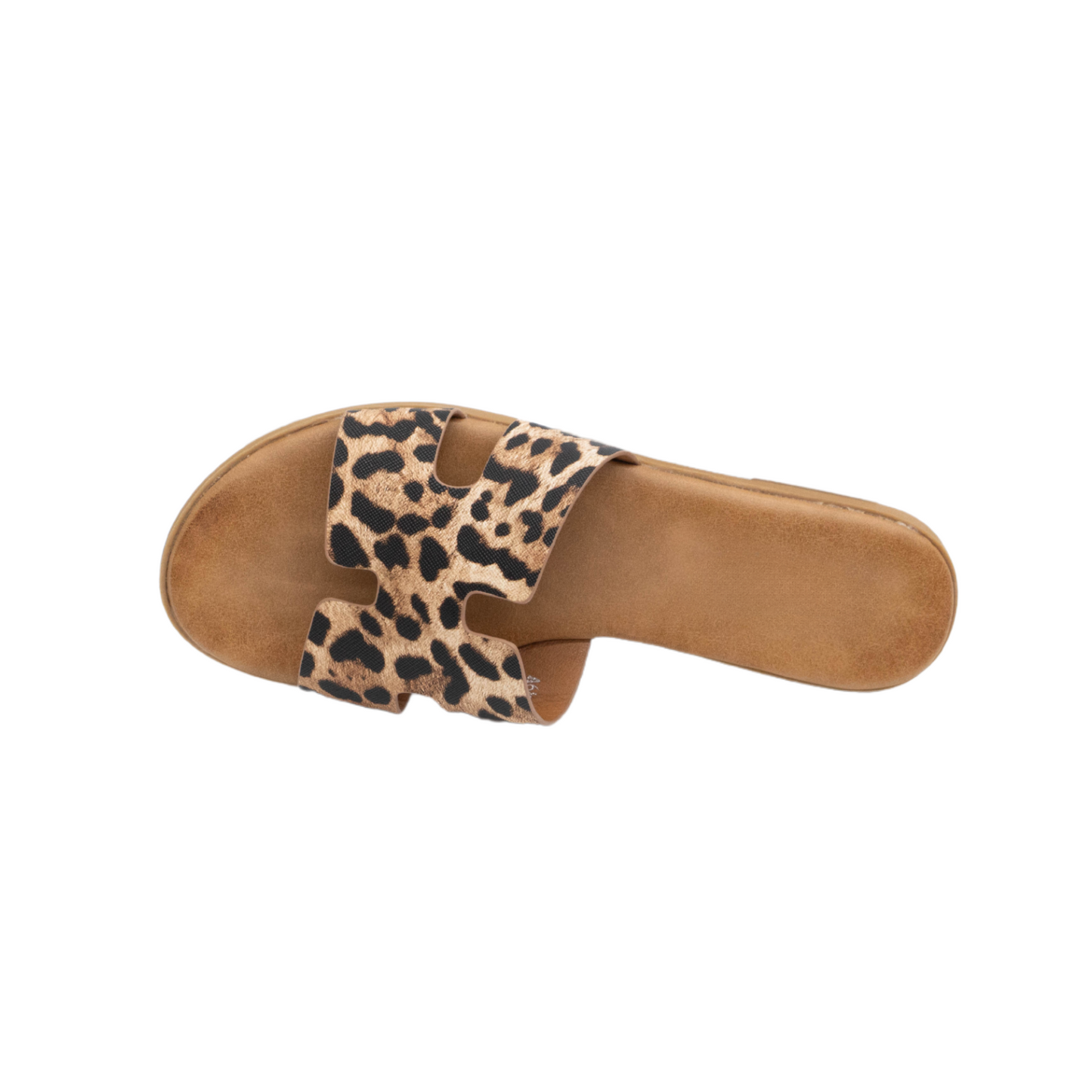 #LEOPARD