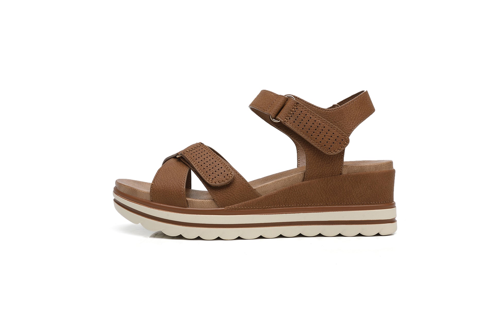 #CAMEL